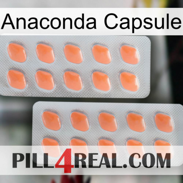 Anaconda Capsule 27.jpg